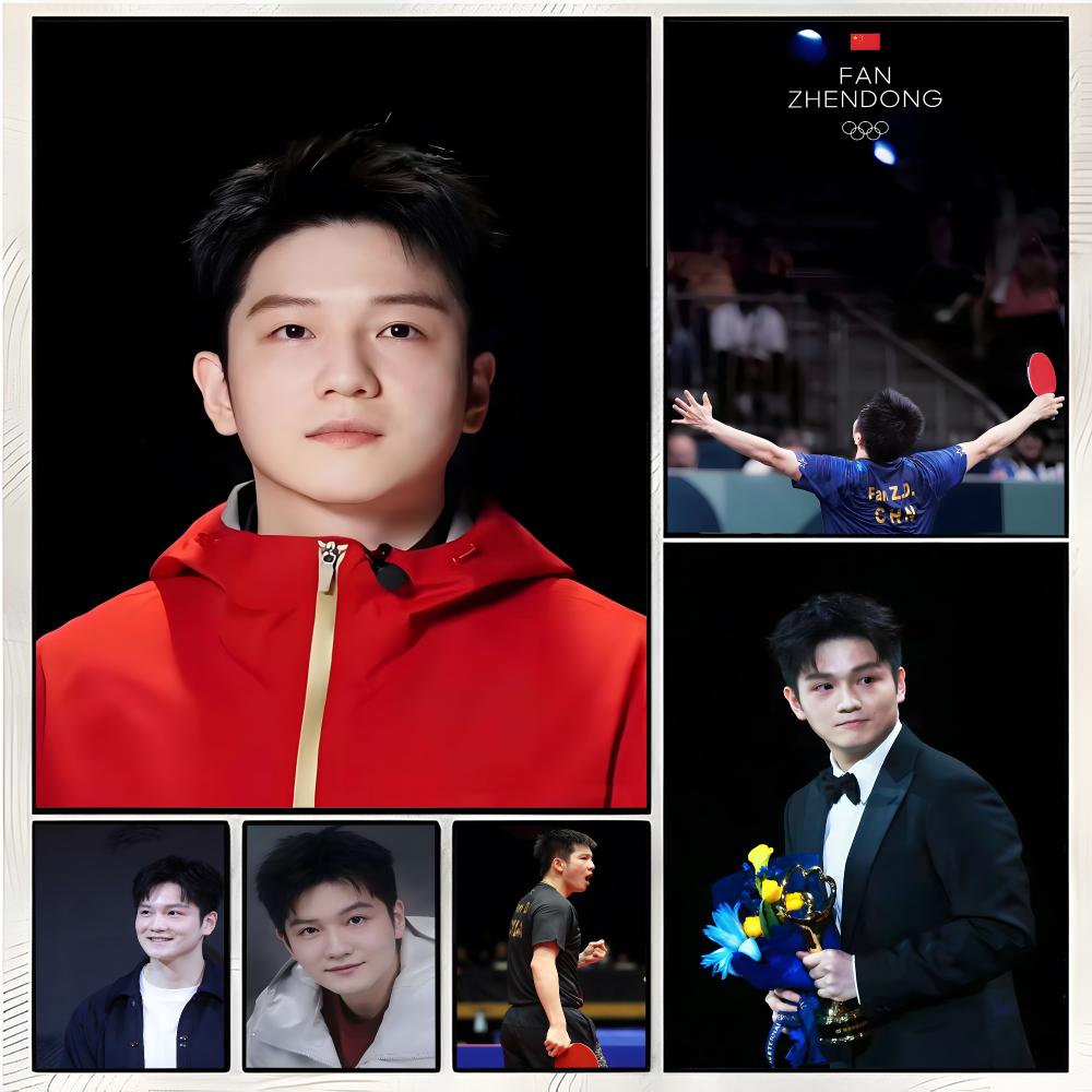 Table Tennis Zhendong - Cuadro de un aficionado al tenis