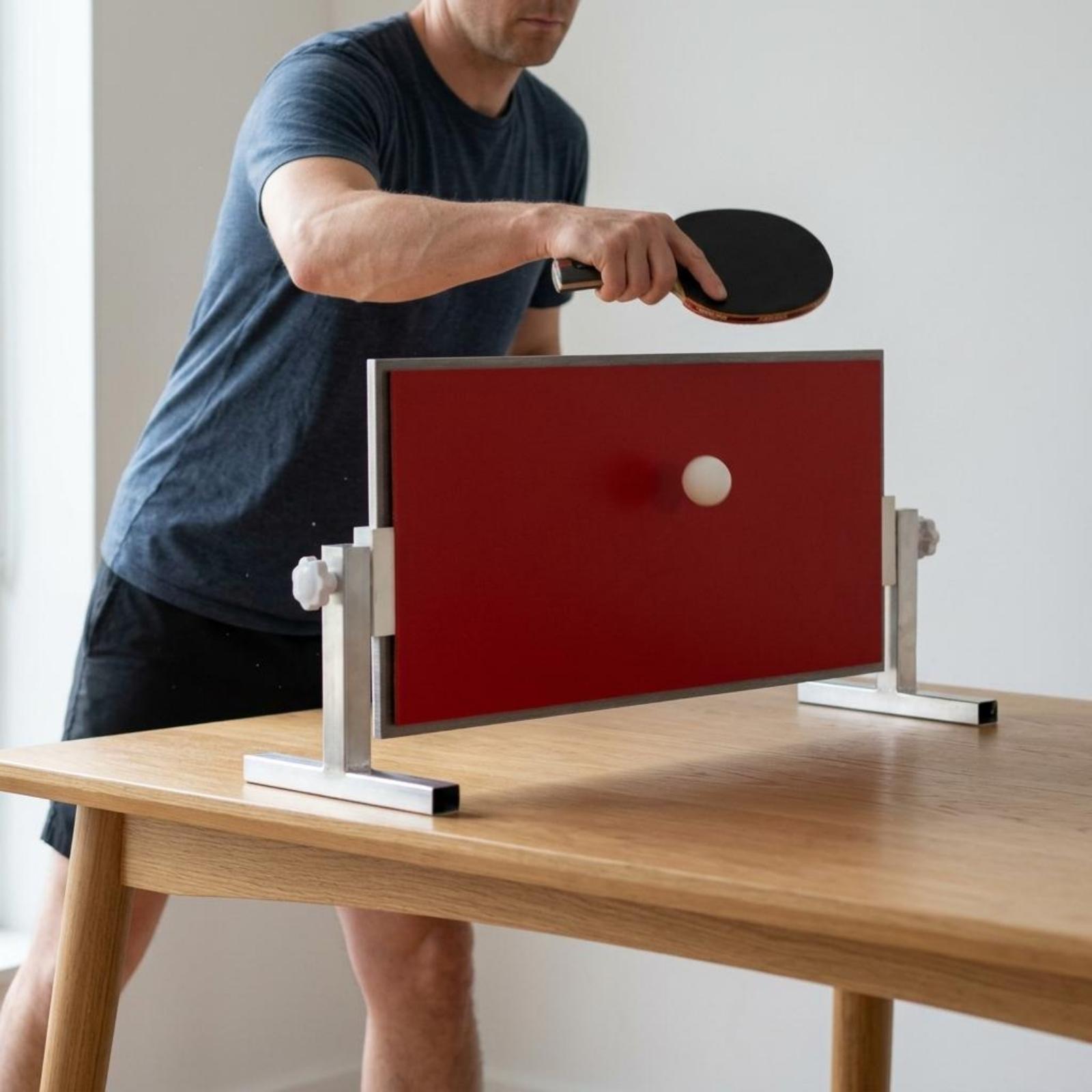 Tableros de Tenis de Mesa, Ent - Table Tennis Player reseña y precio